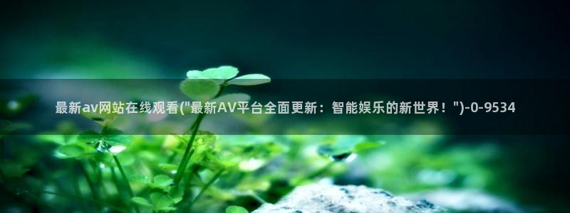 Av网站谁有