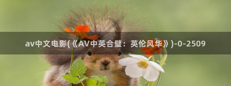 成人电影在线av