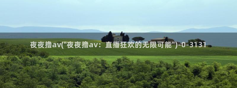 AV在线观看的网站