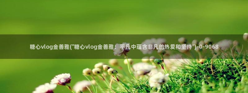  糖心成年版糖心vlog 葫芦：糖心vlog金善雅(\