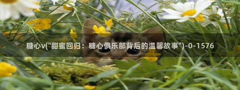  糖心vlog视频在线播放：糖心v(\