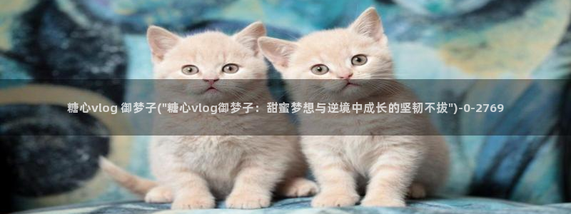  糖心vlog电影高清：糖心vlog 御梦子(\
