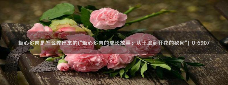  糖心vlog女演员：糖心多肉是怎么养出来的(\