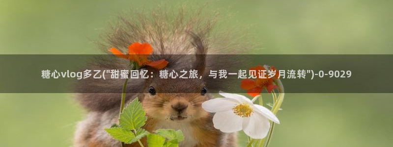  捅主任糖心vlog：糖心vlog多乙(\