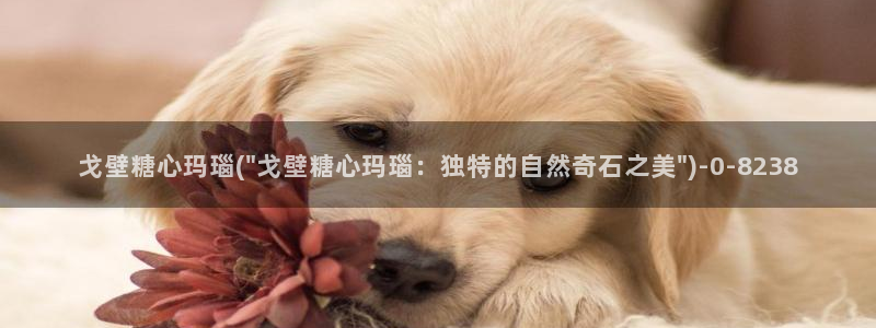  www糖心vlog：戈壁糖心玛瑙(\