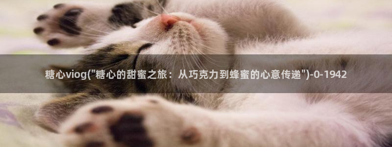 糖心vlog破解视频