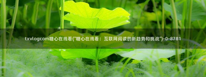 糖心vlog精品一区二区三区