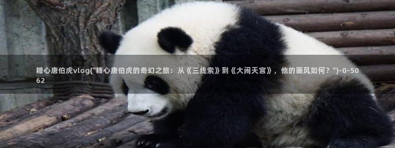 心糖vlog免费