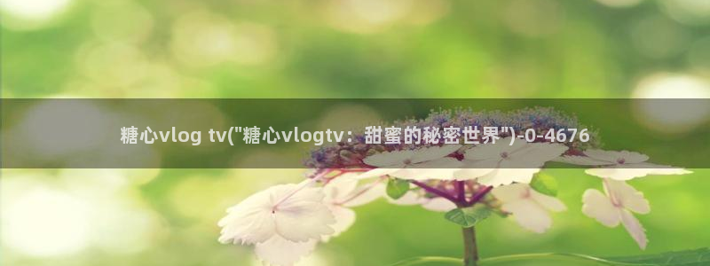 糖心vlog免费入口